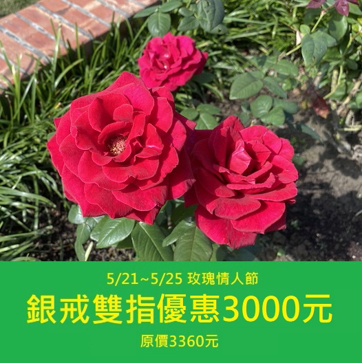 五月玫瑰情人節優惠活動